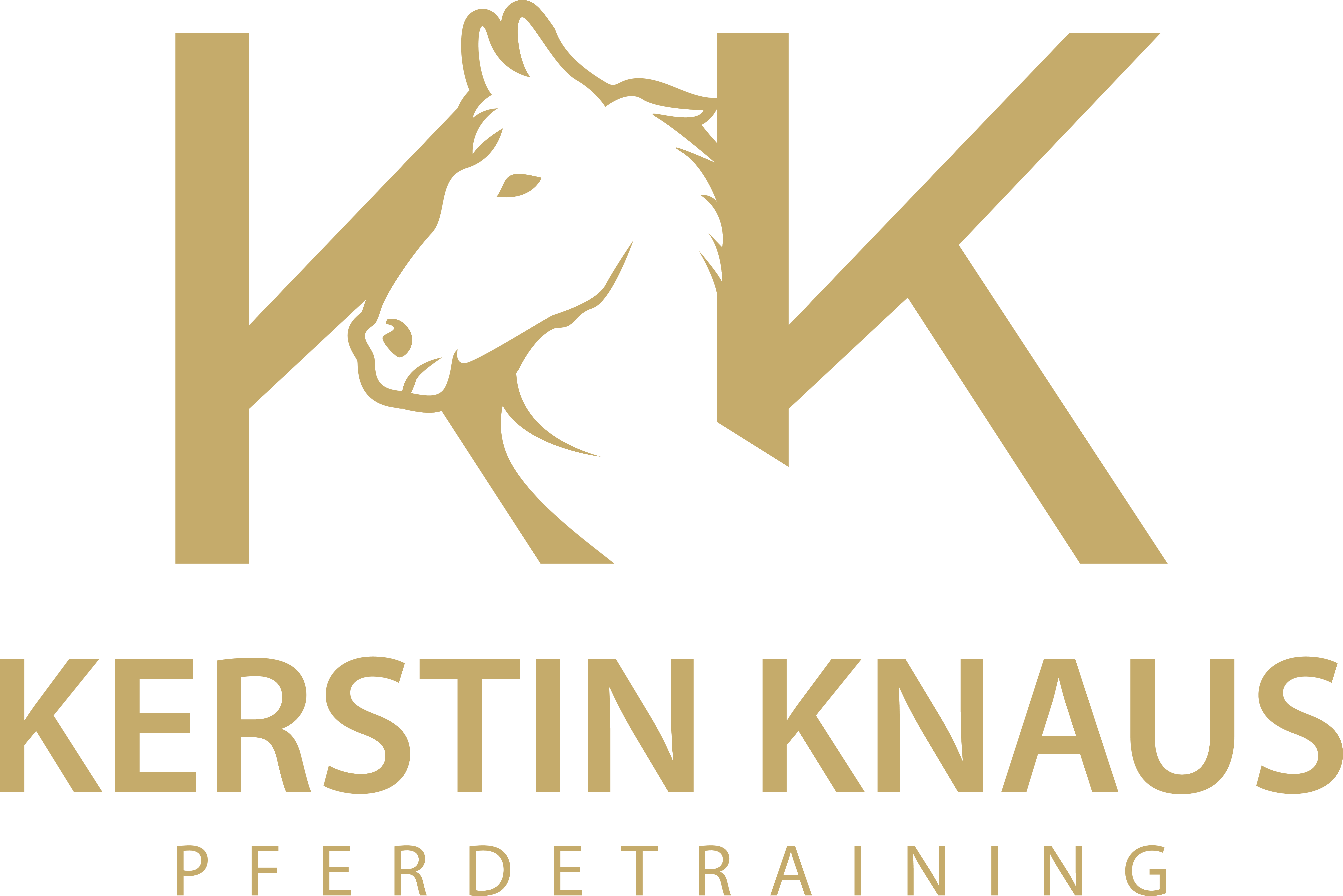 Kerstin Knaus Pferdetraining