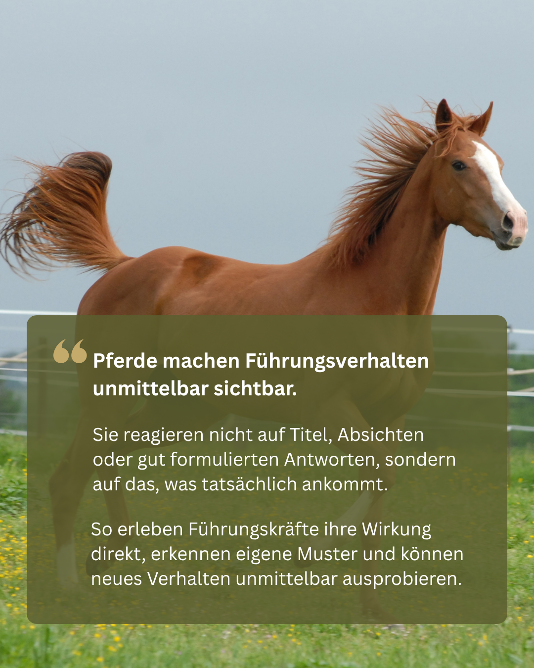 Kein Titel (1080 x 1350 px) (8)